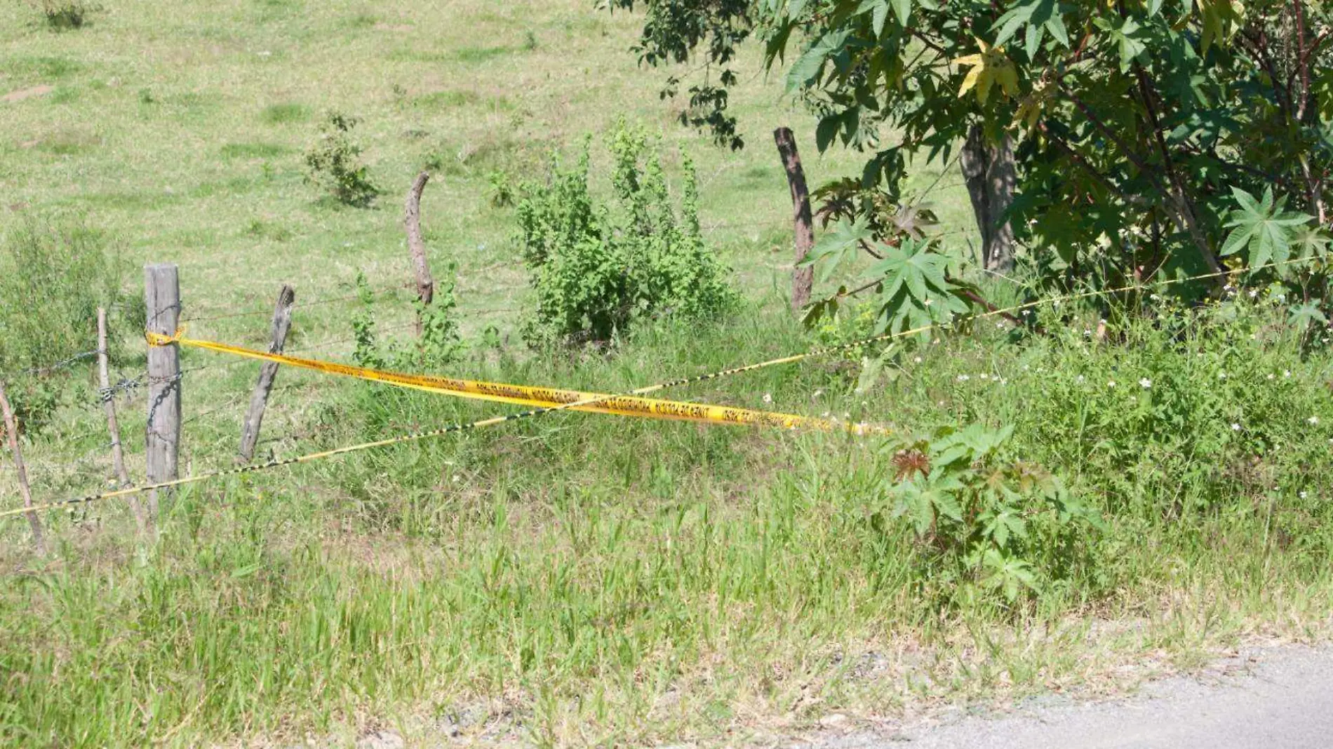 Asesinados en Zapotlán el Grande